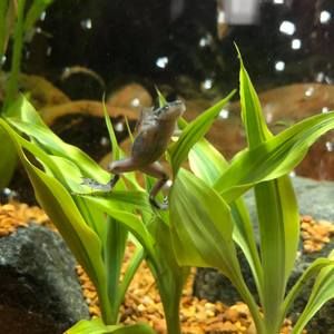 Meet your Posher, Ema